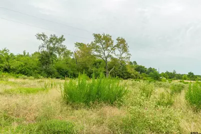 2450 Red Maple Rd, Big Sandy, TX 75755 - Photo 7