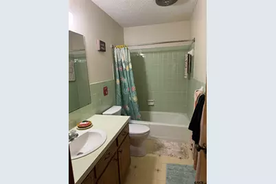 239 W Ayers Street, Frankston, TX 75763 - Photo 25