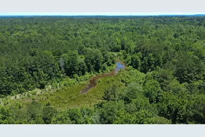 27.5 Ac Cr 383, Palestine, TX 75801 - Photo 7