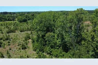 27.5 Ac Cr 383, Palestine, TX 75801 - Photo 11
