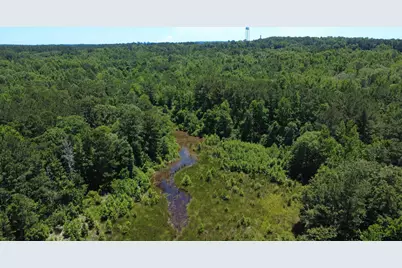 27.5 Ac Cr 383, Palestine, TX 75801 - Photo 5