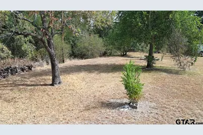 301 E Walnut Street, Mabank, TX 75147 - Photo 5