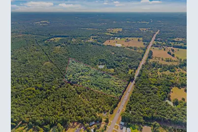 23791 Highway 64 (13.5 Acres), Arp, TX 75750 - Photo 17