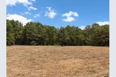 Tbd Silk Tree Rd, Gilmer, TX 75645 - Photo 11