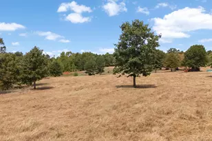 Tbd Silk Tree Rd, Gilmer, TX 75645 - Photo 1