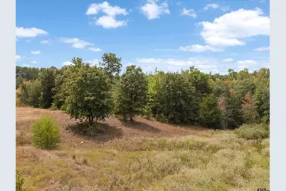 Tbd Silk Tree Rd, Gilmer, TX 75645 - Photo 13