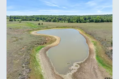 10.02 Acres Vz County Road 4503, Ben Wheeler, TX 75754 - Photo 7