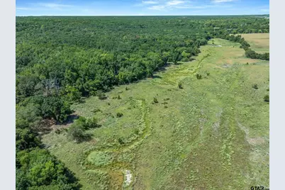 Tbd Vz County Road 4503, Ben Wheeler, TX 75754 - Photo 13