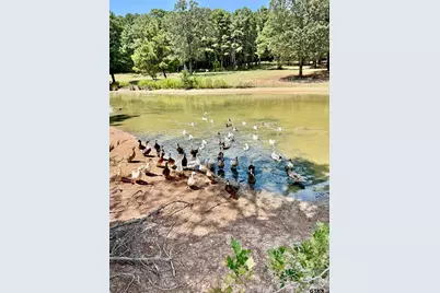 1789 Fm 2076, Crockett, TX 75835 - Photo 7