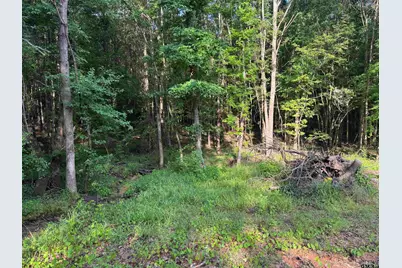 Tbd Fm 2879, Longview, TX 75605 - Photo 5