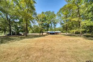 46 Christie, Diana, TX 75640 - Photo 37