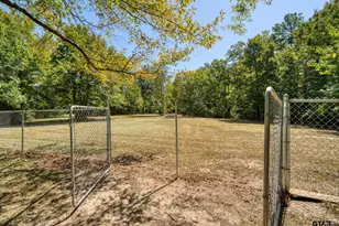 46 Christie, Diana, TX 75640 - Photo 35