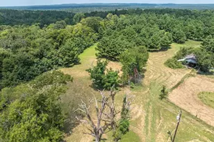 825 An County Rd 1200, Elkhart, TX 75839 - Photo 29