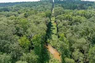 825 An County Rd 1200, Elkhart, TX 75839 - Photo 27