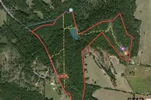 825 An County Rd 1200, Elkhart, TX 75839 - Photo 35