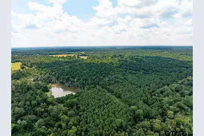 825 An County Road 1200, Elkhart, TX 75839 - Photo 33
