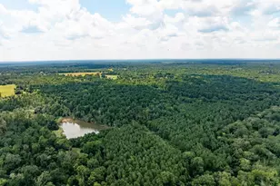 825 An County Rd 1200, Elkhart, TX 75839 - Photo 33
