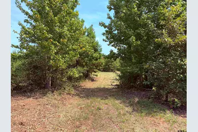 Tbd County Road 353 S, Henderson, TX 75654 - Photo 3