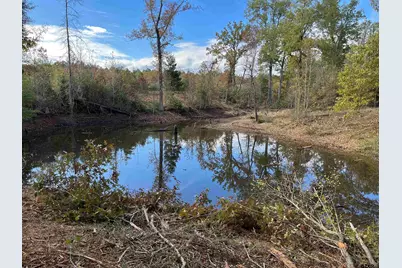 Tbd County Road 353 S, Henderson, TX 75654 - Photo 5