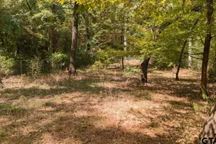 19132 Falls Creek Dr, Flint, TX 75762 - Photo 43