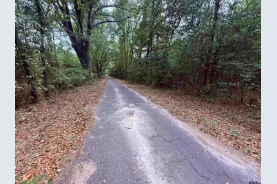 Tbd Fm 312, Winnsboro, TX 75494 - Photo 3