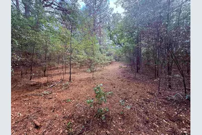 Tbd Fm 312, Winnsboro, TX 75494 - Photo 5