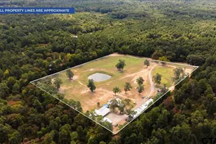 17815 Co Rd 3302, Brownsboro, TX 75756 - Photo 45