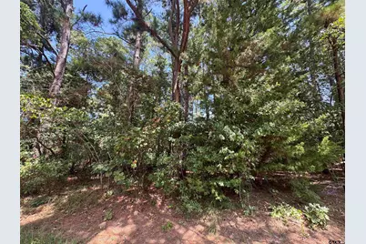 352 Neches Dr, Bullard, TX 75757 - Photo 5