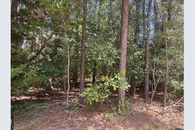 352 Neches Dr, Bullard, TX 75757 - Photo 3