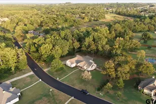565 Oak Grove Way, Bullard, TX 75757 - Photo 43