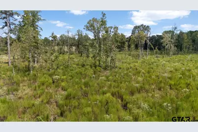 21016 Hwy 31, Tyler, TX 75705 - Photo 5