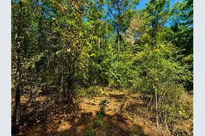 1798 County Road 2404, Rusk, TX 75785 - Photo 15