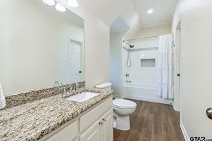 1328 Cold Water Cove, Tyler, TX 75703 - Photo 43