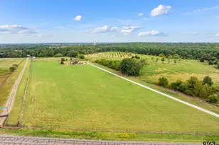 10788 Fm 344 W, Bullard, TX 75757 - Photo 41