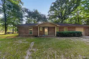 11095 Cr 2249, Tyler, TX 75707 - Photo 1