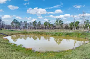 8779 FM 768 N, Jacksonville, TX 75766 - Photo 39