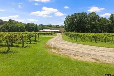 658 County Road 1334, Pittsburg, TX 75686 - Photo 3