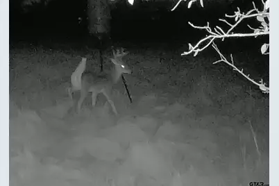 0001 Fm 148, Scurry, TX 75158 - Photo 23