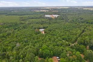 2304 Co Rd 1240, Pittsburg, TX 75686 - Photo 33