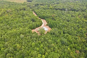 2304 Co Rd 1240, Pittsburg, TX 75686 - Photo 35
