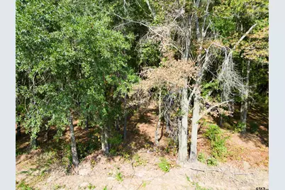 Tbd Cr 4313, Pittsburg, TX 75686 - Photo 3