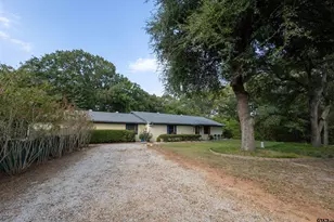 437 FM 49, Mineola, TX 75773 - Photo 3