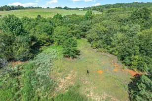 10815 FM 315, Poynor, TX 75782 - Photo 17