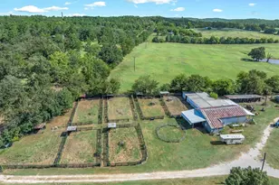 10815 FM 315, Poynor, TX 75782 - Photo 7
