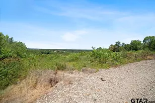551 Co Rd 4203, Jacksonville, TX 75766 - Photo 11