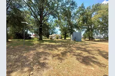 18733 Fm 2493, Flint, TX 75762 - Photo 3