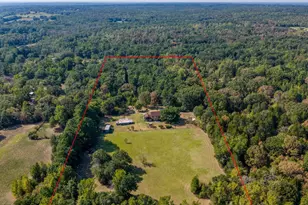 4475 Co Rd 3800, Athens, TX 75752 - Photo 3