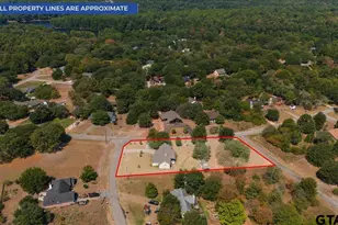 109 Pueblo Path, Holly Lake Ranch, TX 75765 - Photo 35