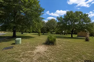 109 Pueblo Path, Holly Lake Ranch, TX 75765 - Photo 29