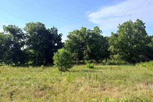 Tbd Fm 2493, Bullard, TX 75757 - Photo 1
